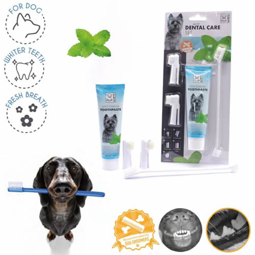 M-PETS KÖPEKLER İÇİN NANELİ DİŞ MACUNU+FIRÇA SETİ