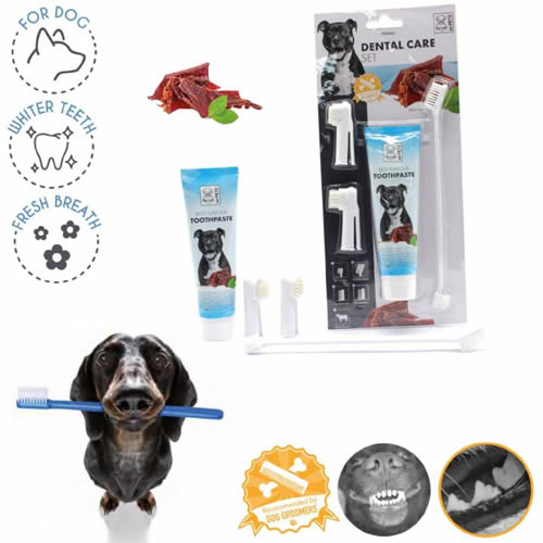 M-PETS KÖPEKLER İÇİN BİFTEKLİ DİŞ MACUNU+FIRÇA SETİ