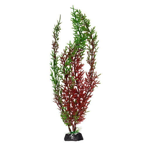 Chicos Plastik Bitk28cm