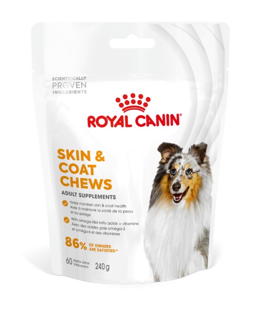 Royal Canin Deri ve Tüy Sağlığı Destekleyici Tamamlayıcı Köpek Ödül Maması 240gr