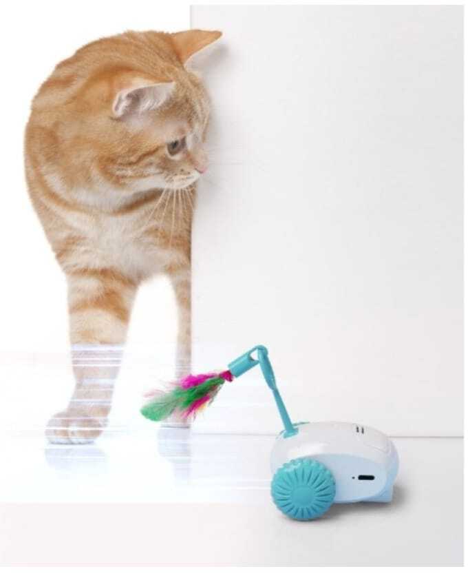 Hareketli Kedi Oyuncağı Drift Toy Car