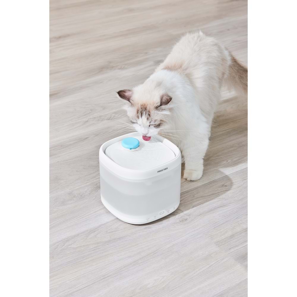 Pawgether Pure 3S Kedi ve Köpekler İçin Otomatik Su Kabı 2000ml