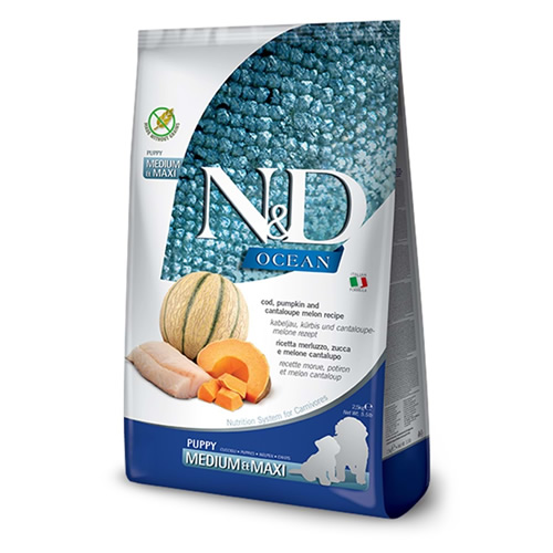ND Dog Ocean Puppy Medium/Maxi  Morina Balıklı Bal Kabaklı/Kavunlu 12 kg