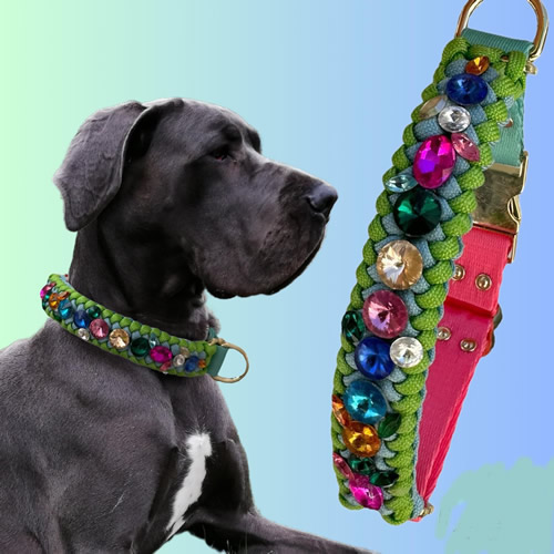 TAİL Paracord Swarovski Boyun Tasma