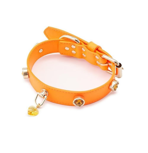 TAİL Swarovski Tasma Orange XS 21-27cm