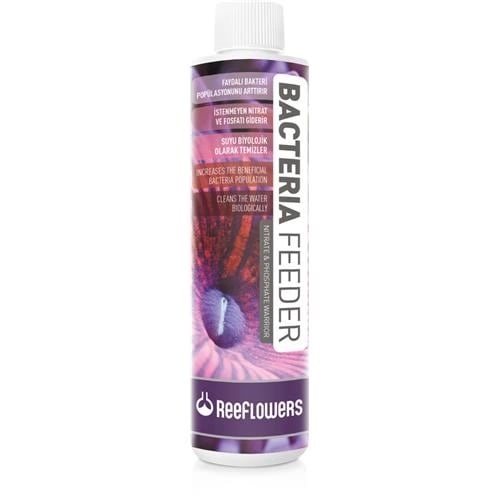 Reeflowers Bacteria Feeder