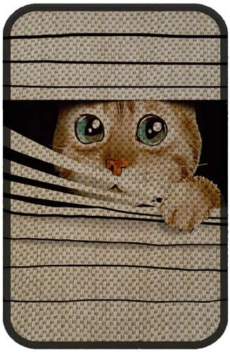 Glipet Desenli Kedi Tırmalama Paspası 58x37 Cm