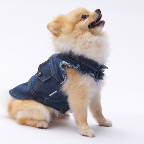Pawstar Kot Denim Yelek-L