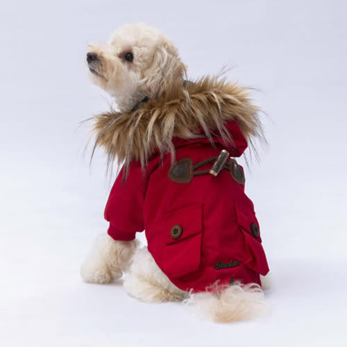 Pawstar  Kırmızı Charles Yağmurluk-2XL
