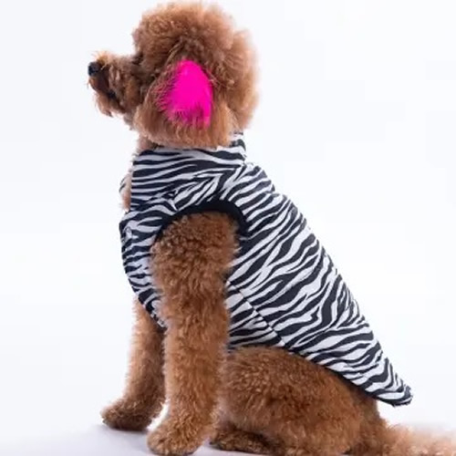 Pawstar Lodwar Street Yelek Küçük ve Orta Irk XL