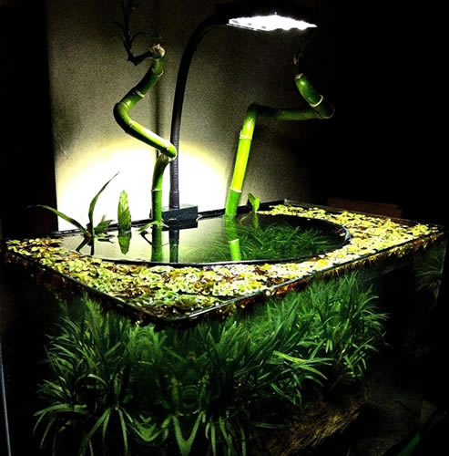 Orion Led Armatür Nano M1