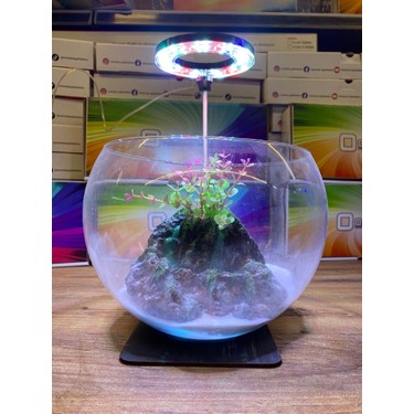 Orionled Led Aydınlatma Fanus YUVARLAK 10CM 