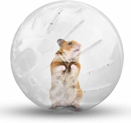 Pet Zone Kristal Hamster Topu 16 cm