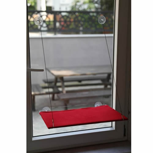 Benny Cam Askılığı Kedi Yatağı