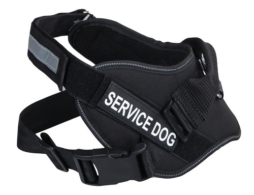 Sanlion Police Köpek Bel Tasması L 90 x 135 cm