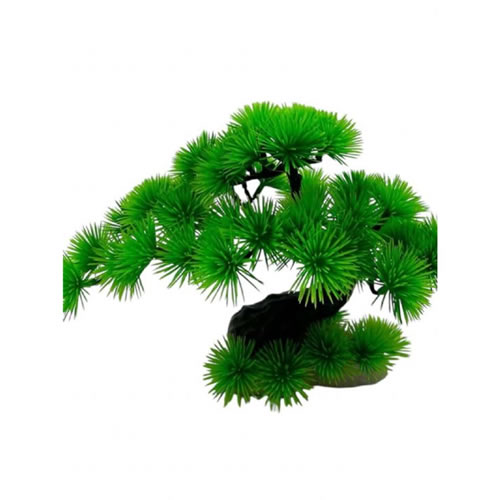 Bonzai Bitki 20 CM