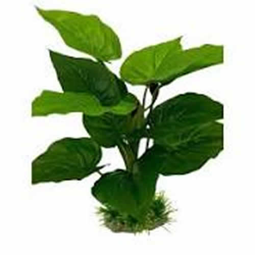 İpek Bitki 30 Cm