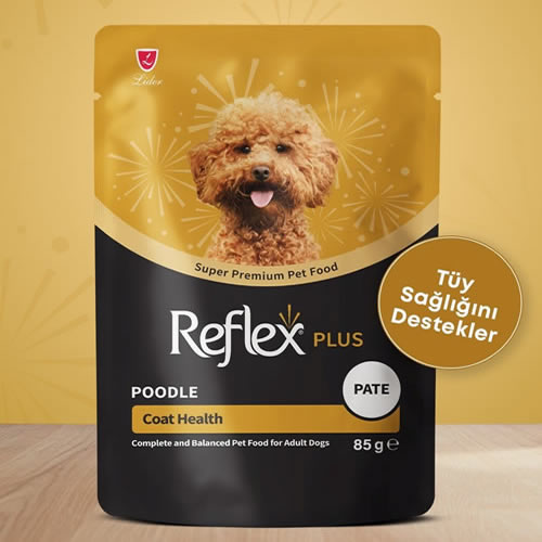 Reflex Plus Pounch Poodle Coat Health Pate Yaş Köpek Maması 85 Gr