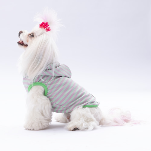 Pawstar Mint Sunny Kapşonlu Tişört-L