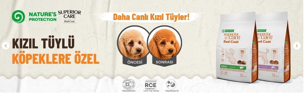 kızıl köpek kuru