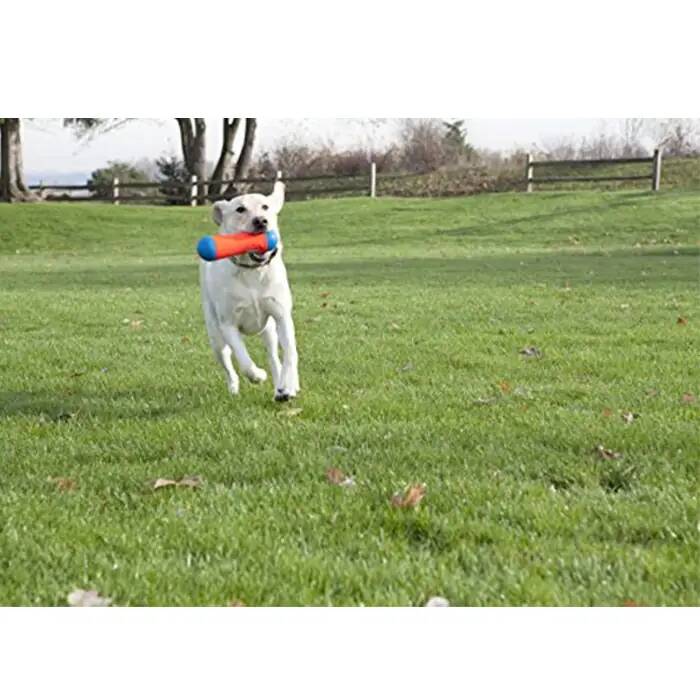 CHUCKİT_ TUMBLE BUMPER SUDA BATMAYAN KÖPEK OYUNCAĞI (BÜYÜK BOY)