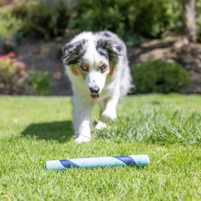 CHUCKİT_ SNİFF FETCH KOKULU KÖPEK OYUNCAĞI (JAMBON AROMALI)