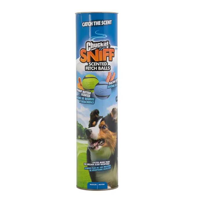 CHUCKİT_ SNİFF FETCH KOKULU 4_LÜ KÖPEK OYUN TOPU SETİ