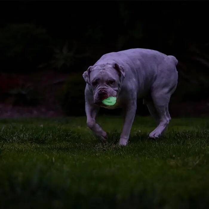 CHUCKİT_ MAX GLOW AİR FETCH GECE PARLAYAN KÖPEK OYUN TOPU (ORTA BOY)