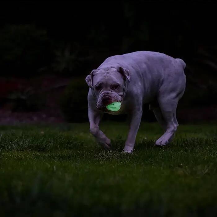 CHUCKİT_ MAX GLOW AİR FETCH GECE PARLAYAN 2_Lİ KÖPEK OYUN TOPU (KÜÇÜK BOY)