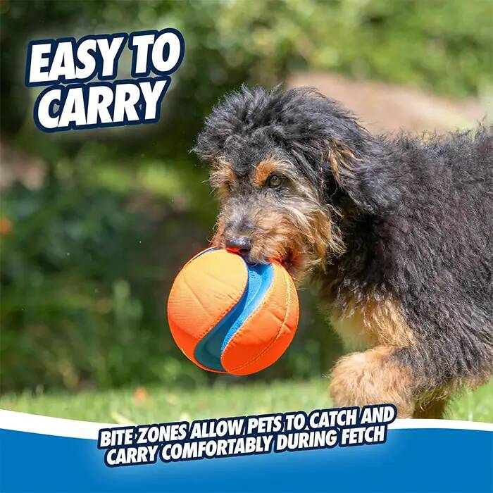 CHUCKİT_ KİCK FETCH (BÜYÜK BOY)