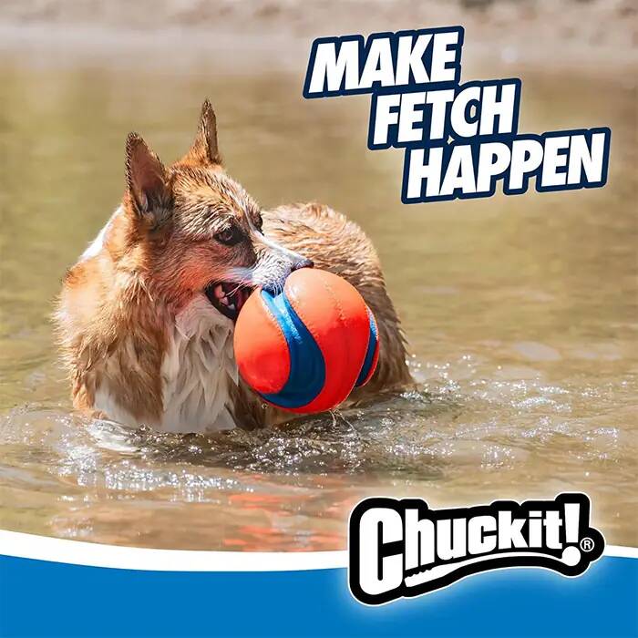 CHUCKİT_ KİCK FETCH (BÜYÜK BOY)