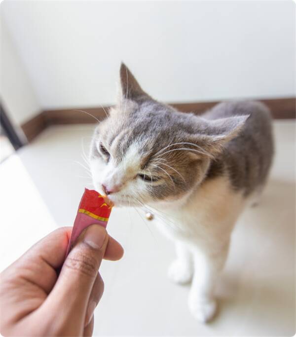 Ciao Churu Cream Kitten Ton Balıklı Yavru Kedi Kreması 4x14 Gr