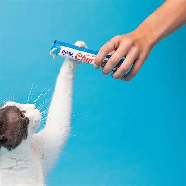 Ciao Churu Cream Skin Coat Ton Balıklı Kedi Kreması 4x14 Gr