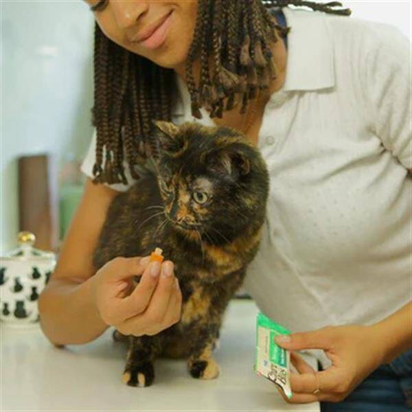 Ciao Bites Tavuk Sargılı Somonlu Kedi Ödülü 3x10 Gr