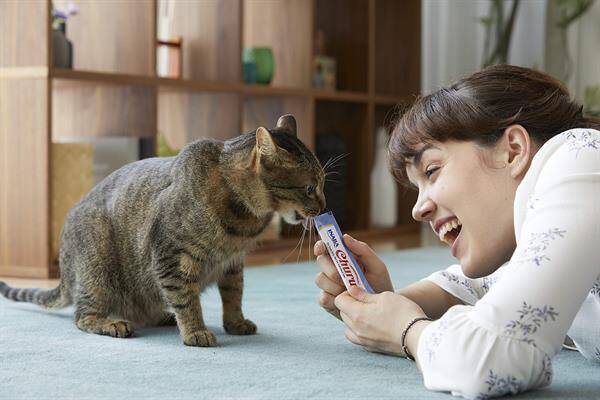 Ciao Churu Cream Deniz Taraklı Kedi Ödülü 4 x 14 Gr