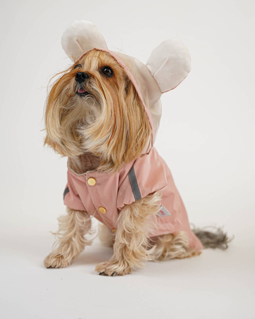Maxdesing Maxie Bunny Yağmurluk Yavruağzı-XXL