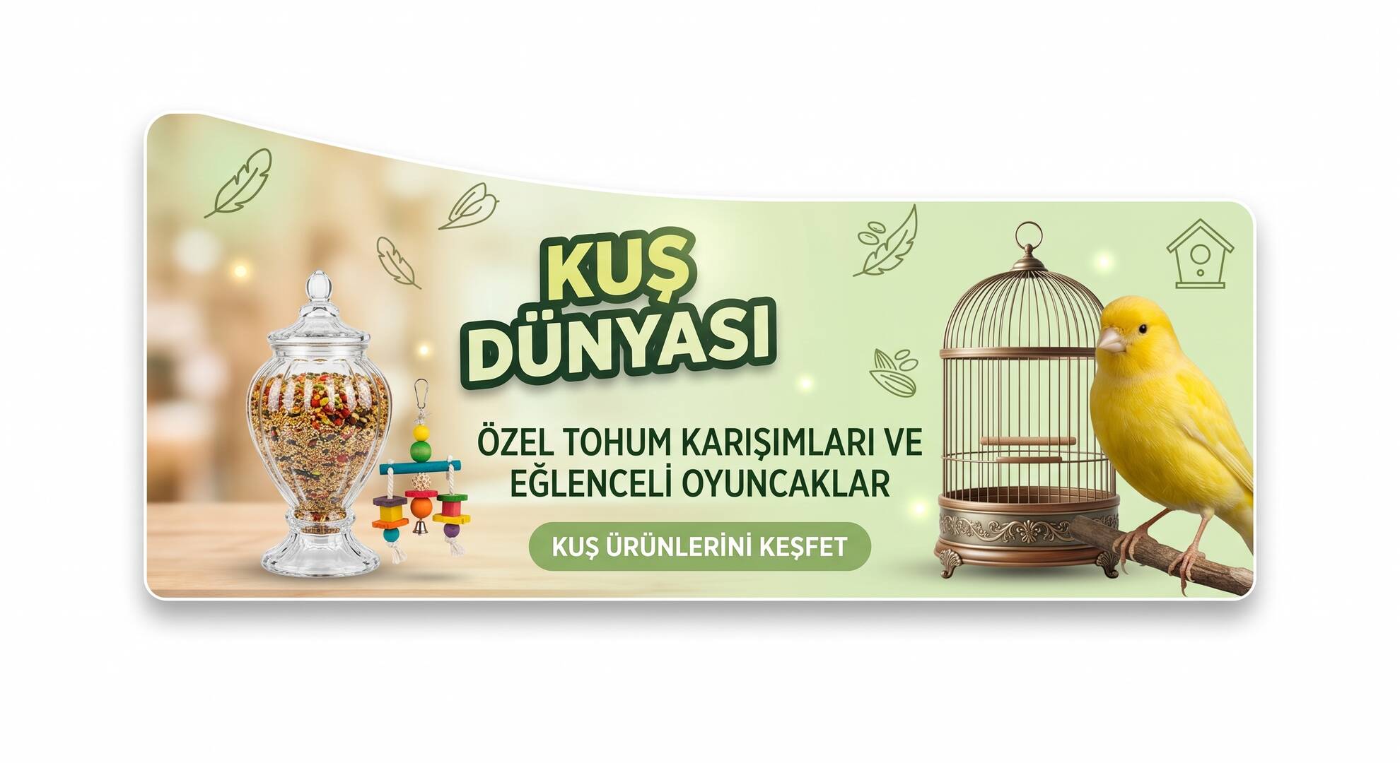 Kuş Dünyası 