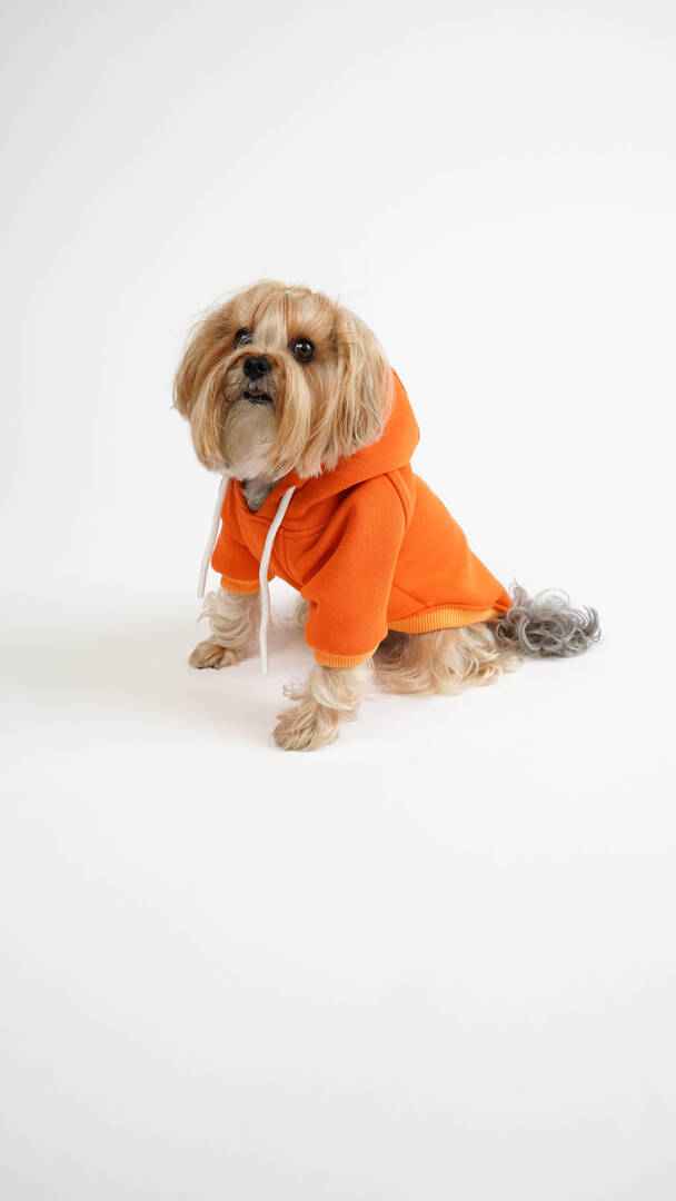 Maxdesing Nature Buddy Hoodi-XL