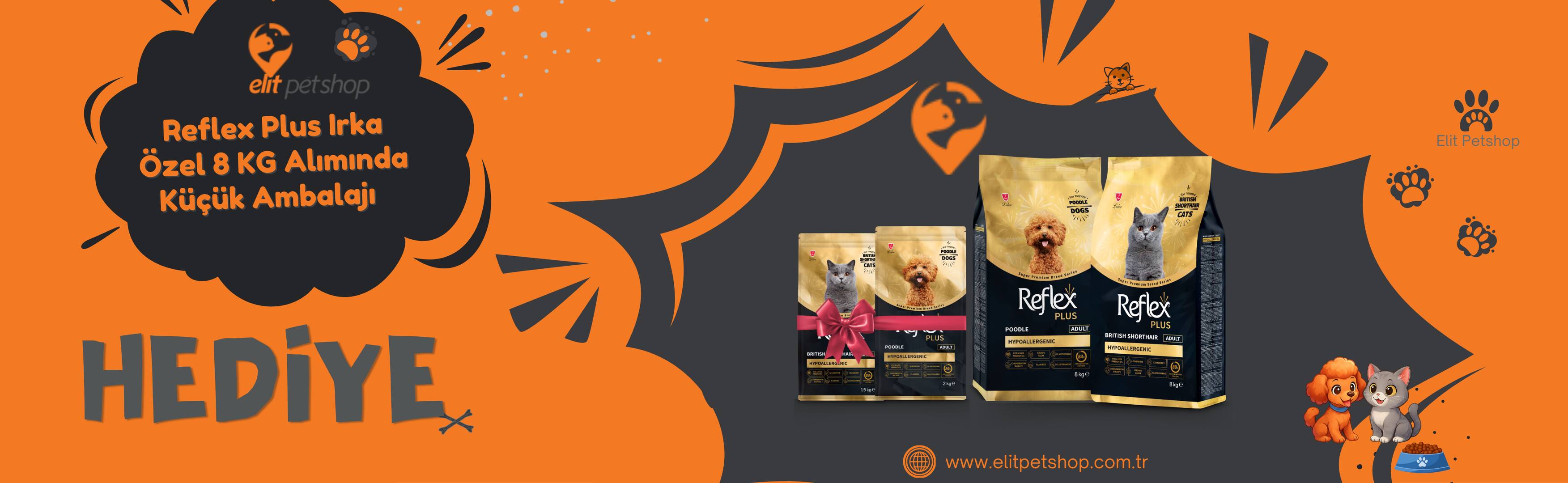 Pro plan ever clena hediye 