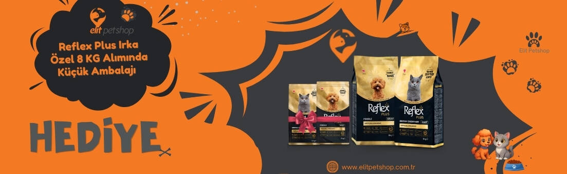 Pro plan ever clena hediye 