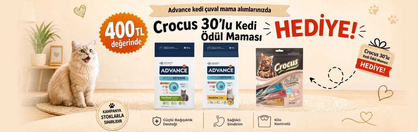 crocus