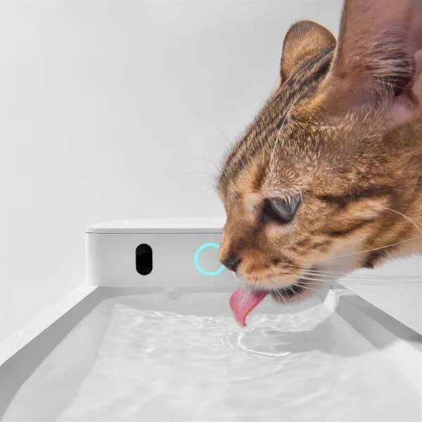 Catlink Yapay Zekâlı Su Pınarı Kablosuz, 2.3 Lt