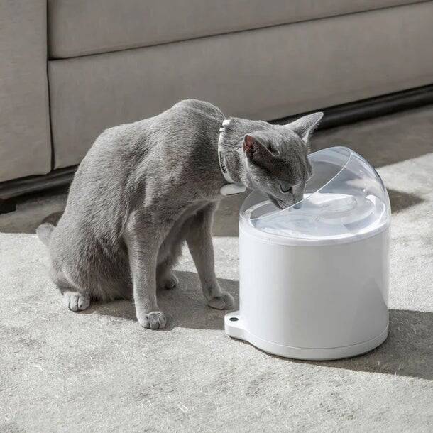 Catlink Su Pınarı Pure 2 UV, 2.6 Lt