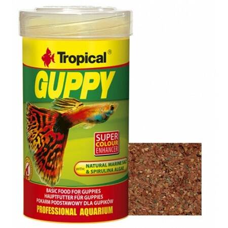 Tropical Guppy 100ml/20Gr