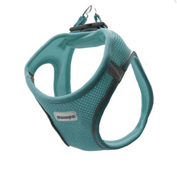 Zampa Air Mesh Göğüs Tasması 2XS TURKUAZ